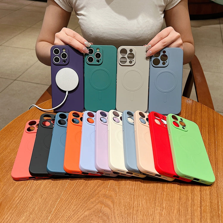Solid Color Liquid Silicone MagSafe Magnetic Phone Case, For iPhone 15 Pro