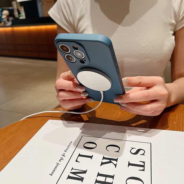 Solid Color Liquid Silicone MagSafe Magnetic Phone Case, For iPhone 12 Pro