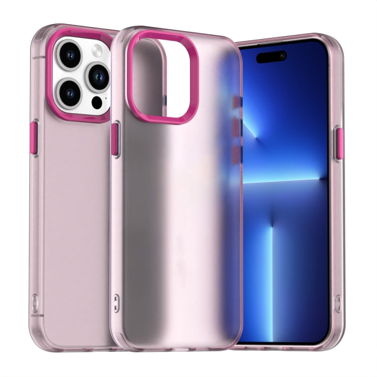Candy PC Hybrid TPU Shockproof Phone Case, For iPhone 13, For iPhone 12, For iPhone 12 Pro Max