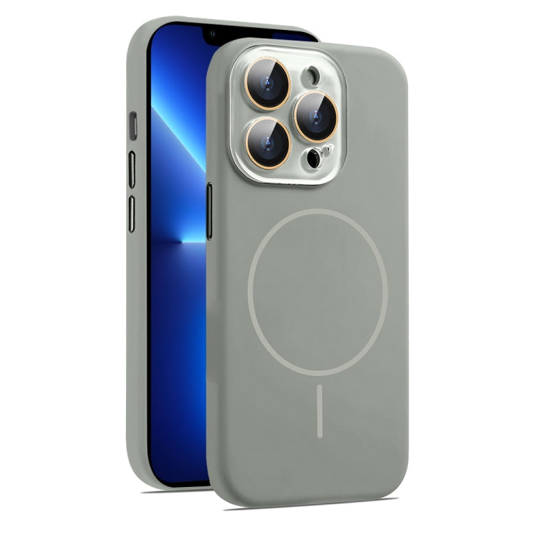 AG Fine Hole Liquid Silicone MagSafe Magnetic Phone Case, For iPhone 13 Pro Max, For iPhone 13 Pro