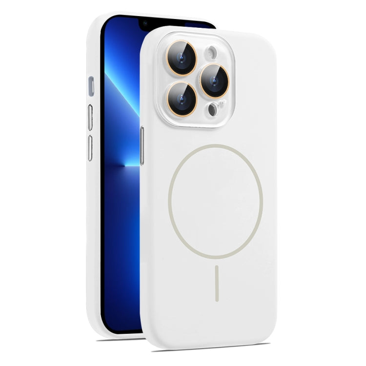 AG Fine Hole Liquid Silicone MagSafe Magnetic Phone Case, For iPhone 13 Pro Max, For iPhone 13 Pro
