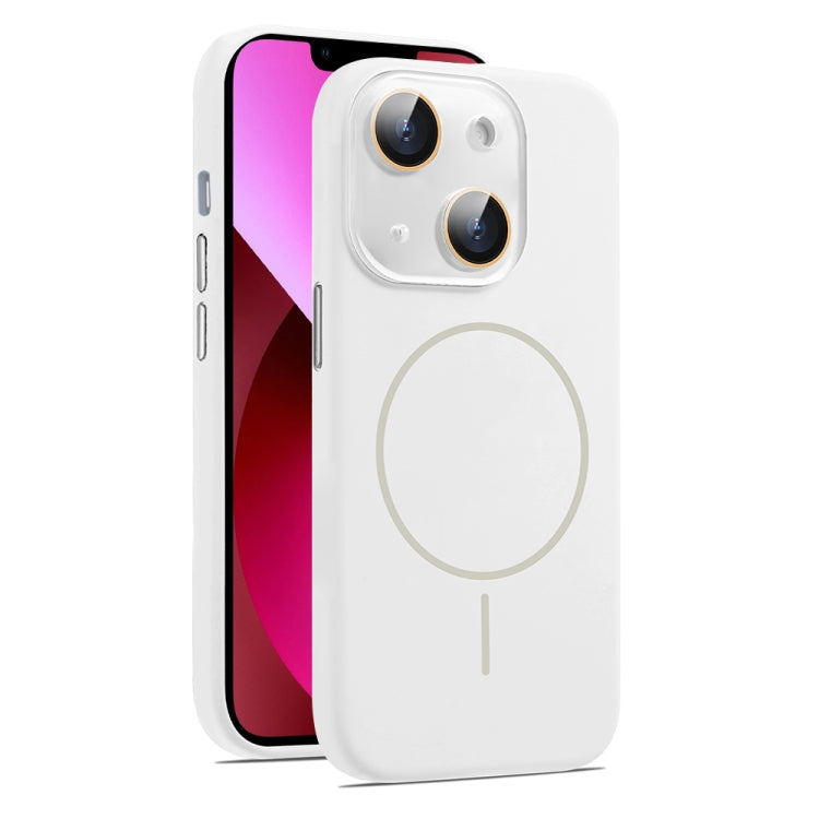 AG Fine Hole Liquid Silicone MagSafe Magnetic Phone Case, For iPhone 13, For iPhone 12