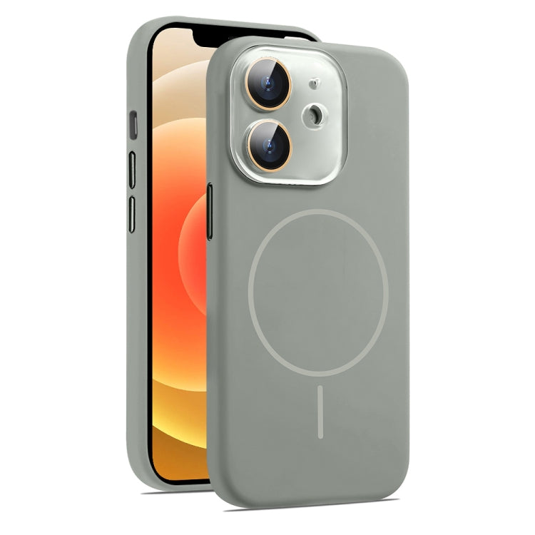 AG Fine Hole Liquid Silicone MagSafe Magnetic Phone Case, For iPhone 13, For iPhone 12