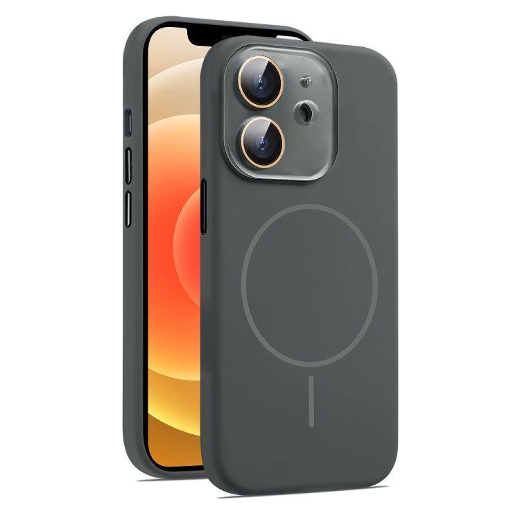 AG Fine Hole Liquid Silicone MagSafe Magnetic Phone Case, For iPhone 13, For iPhone 12