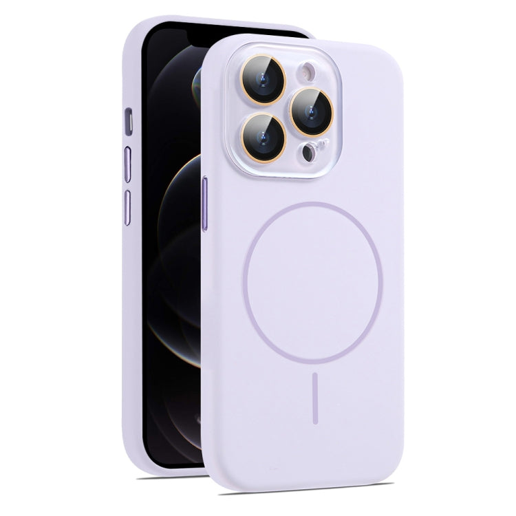 AG Fine Hole Liquid Silicone MagSafe Magnetic Phone Case, For iPhone 12 Pro Max, For iPhone 12 Pro