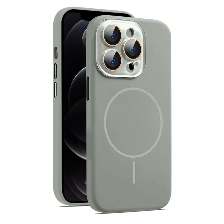 AG Fine Hole Liquid Silicone MagSafe Magnetic Phone Case, For iPhone 12 Pro Max, For iPhone 12 Pro