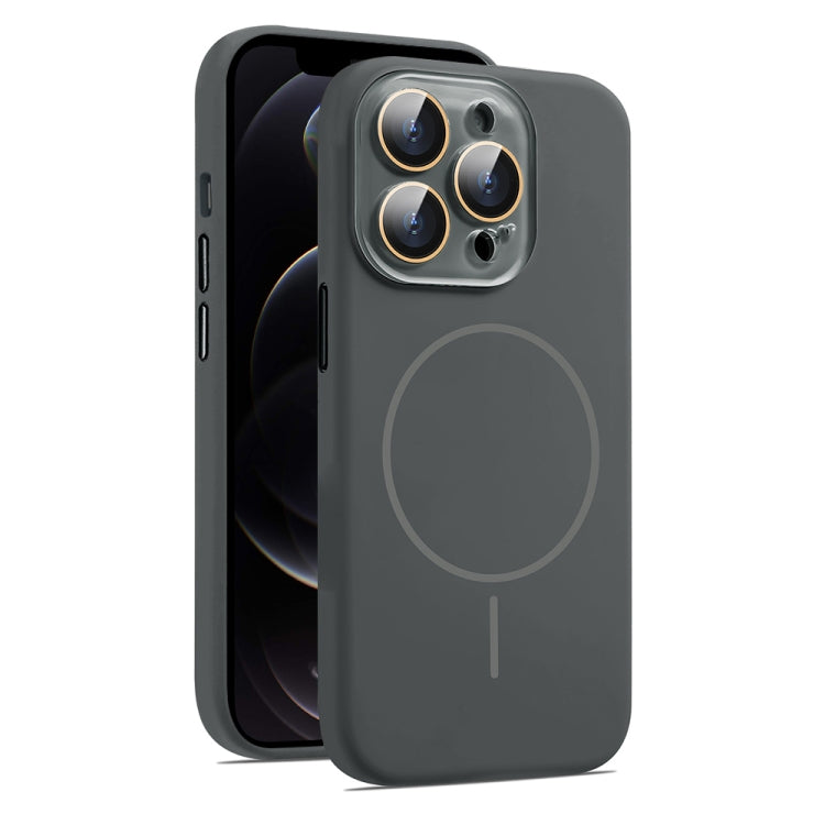 AG Fine Hole Liquid Silicone MagSafe Magnetic Phone Case, For iPhone 12 Pro Max, For iPhone 12 Pro