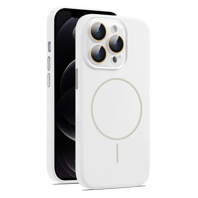AG Fine Hole Liquid Silicone MagSafe Magnetic Phone Case, For iPhone 12 Pro Max, For iPhone 12 Pro