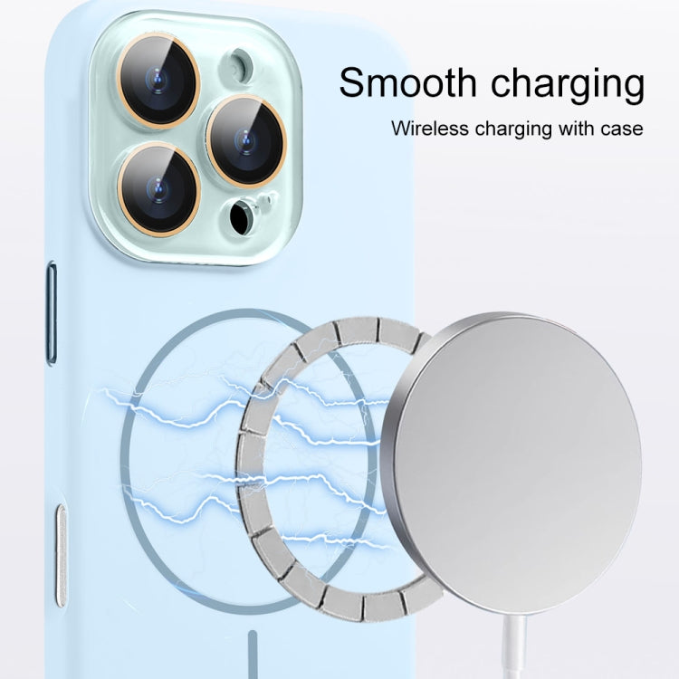AG Fine Hole Liquid Silicone MagSafe Magnetic Phone Case, For iPhone 16 Pro Max, For iPhone 16 Pro