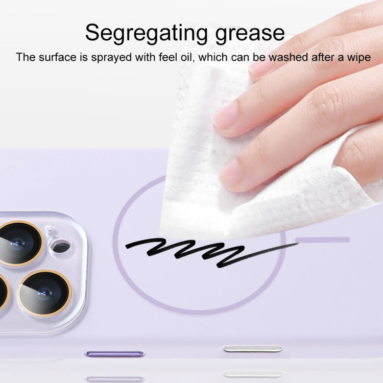 AG Fine Hole Liquid Silicone MagSafe Magnetic Phone Case, For iPhone 15 Pro Max, For iPhone 15 Pro