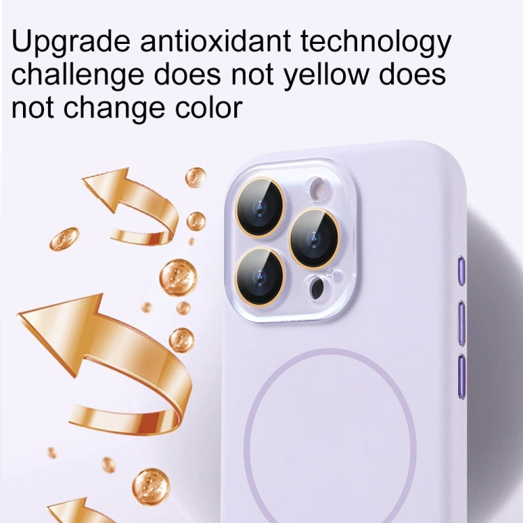 AG Fine Hole Liquid Silicone MagSafe Magnetic Phone Case, For iPhone 14 Pro, For iPhone 14 Pro Max