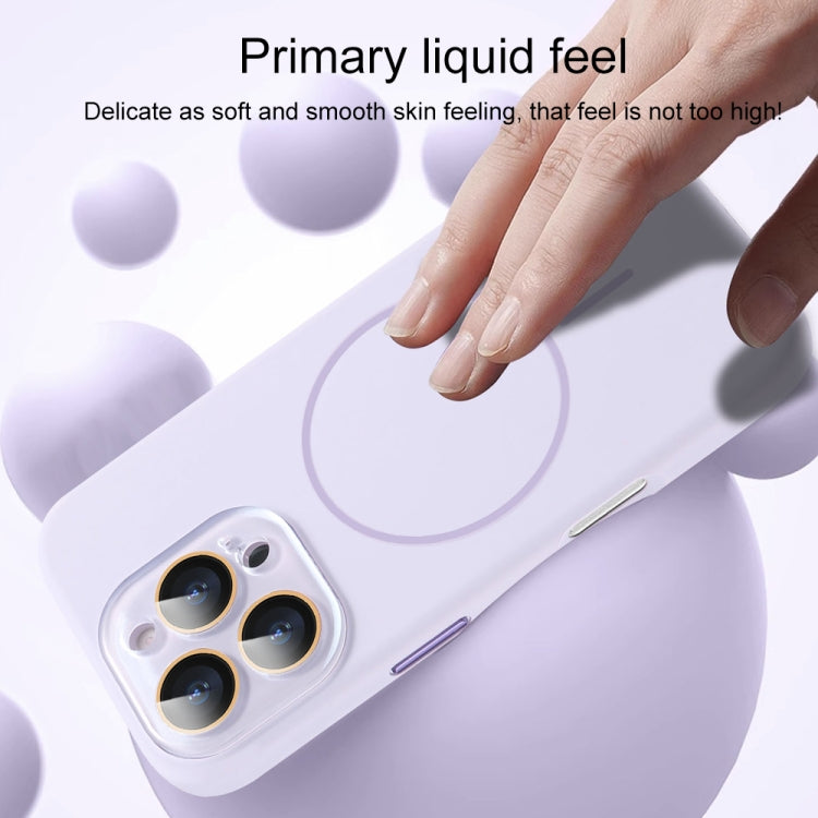 AG Fine Hole Liquid Silicone MagSafe Magnetic Phone Case, For iPhone 14 Pro, For iPhone 14 Pro Max