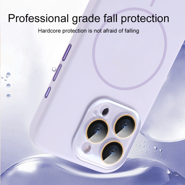 AG Fine Hole Liquid Silicone MagSafe Magnetic Phone Case, For iPhone 13 Pro Max, For iPhone 13 Pro