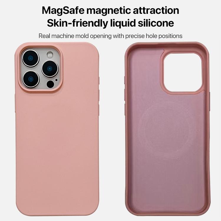 Liquid Silicone Phone MagSafe Case, For iPhone 11 Pro Max, For iPhone 11