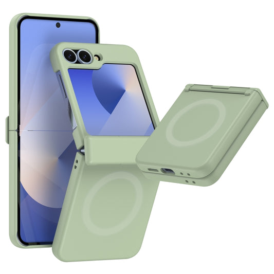 EDA007442602E.jpg@4168d7360fcf1ff009e289360727742b