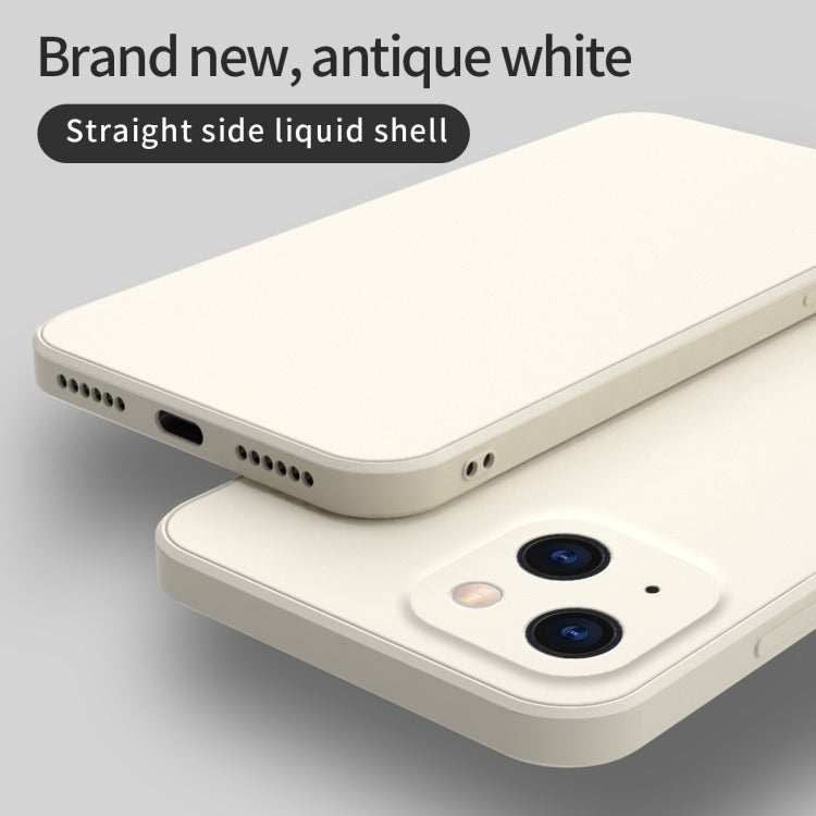 Solid Color Cube Straight Edge Liquid Silicone Lining Flannel Case, For iPhone 13 Pro, For iPhone 13