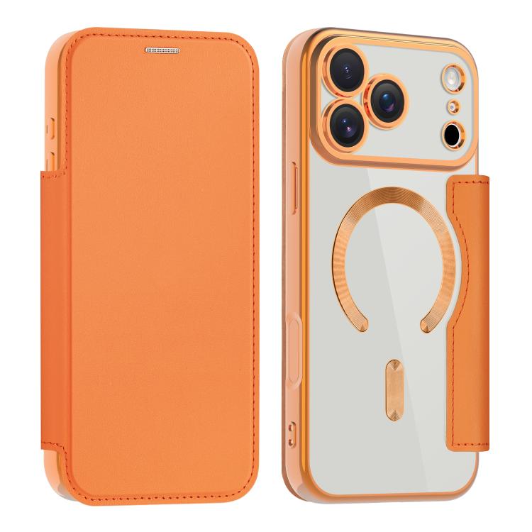 Shield MagSafe RFID Anti-theft Leather Phone Case, For iPhone 17 Pro Max, For iPhone 17 Pro