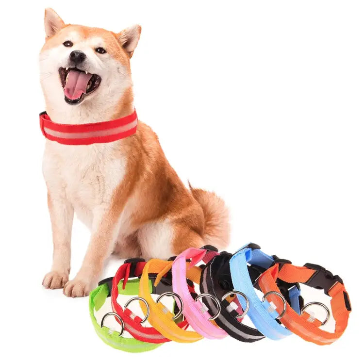 Adjustable 3-Mode LED Flashing Dog Collar Size: S Size: S Size: M Size: L Size: XL - Size: S / S-HPS-0602S