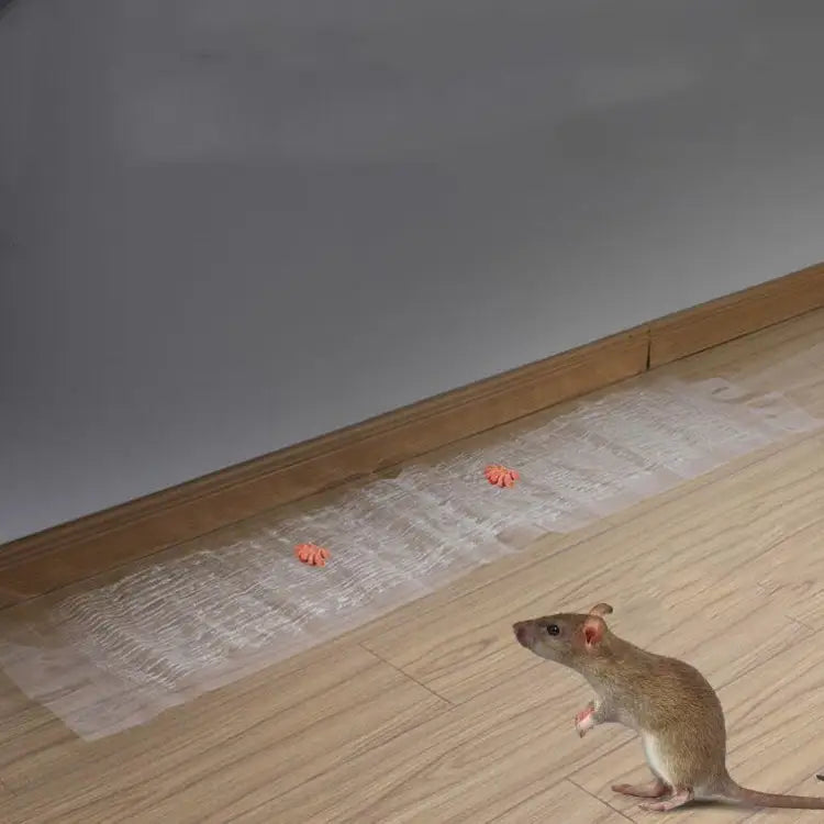 Anti-rodent Strong Sticky Board Transparent Sticky Mouse with Mousetrap Glue Long Transparent - Long Transparent