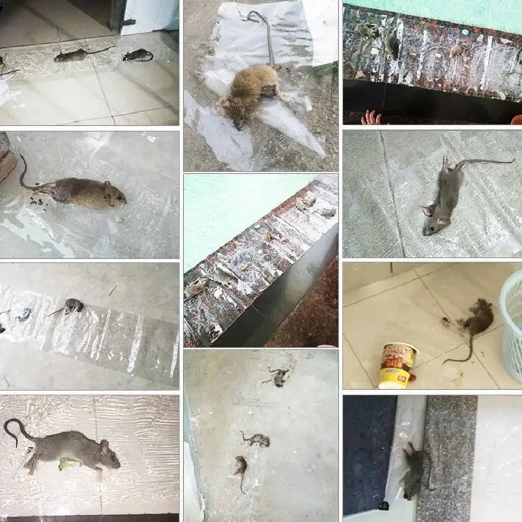 Anti-rodent Strong Sticky Board Transparent Sticky Mouse with Mousetrap Glue Long Transparent - Long Transparent