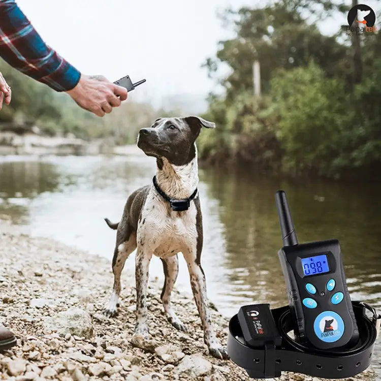 Automatic Anti Barking Collar Pet Training Control System + Electric Shock PU Leather Collar for Dogs PD520 - PD520