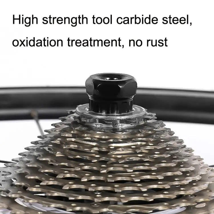 TBD0602425104_B2.jpg@3fee2edfe7e17fa941dce8880410c377