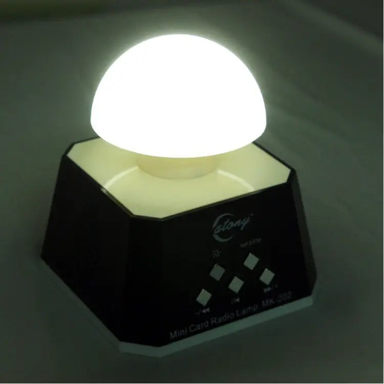 CT-0019 Multi LED Lights Speaker with FM Radio Support TF Card