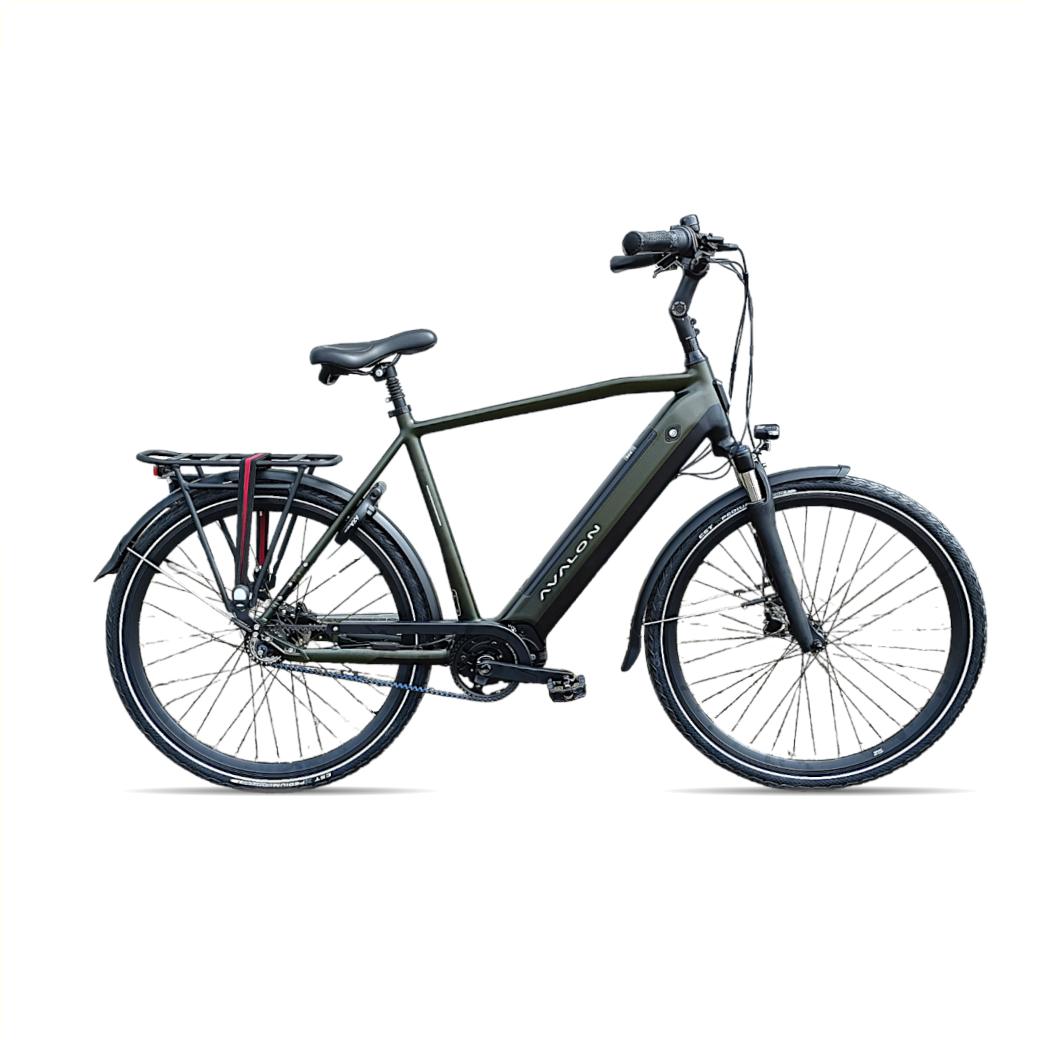 E-Pro+ 58cm Heren Mosgroen