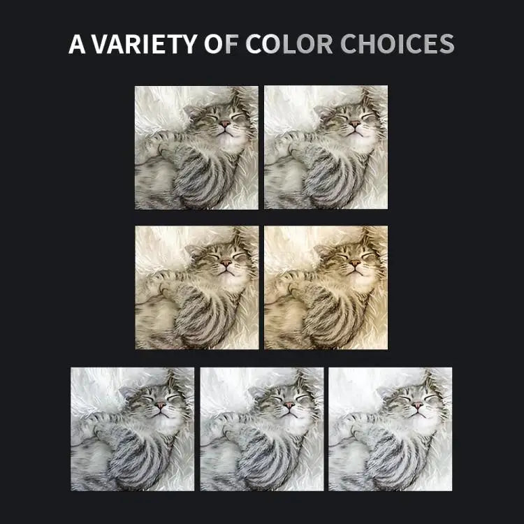 TBD06061167_B3.jpg@509ef9daa583585532396fd29a99838b