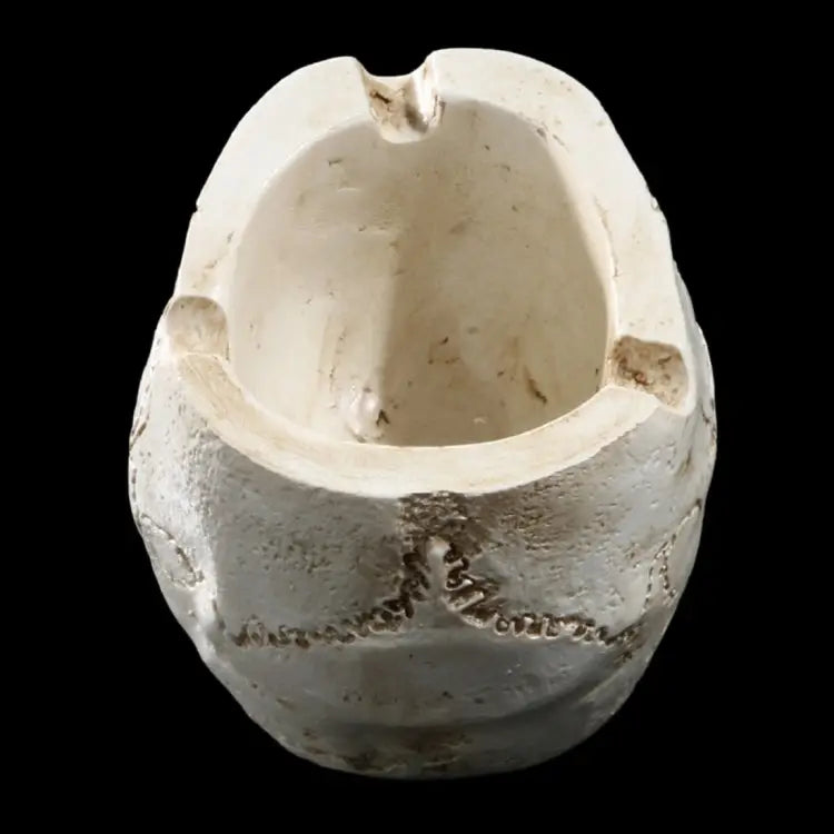 Halloween Utensils Resin Skull Ashtray Personality Home Decoration
