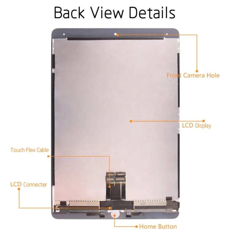 IPRO0106B_1.jpg@6c3dcdb5af18a3a085eeceb84b9dea2b