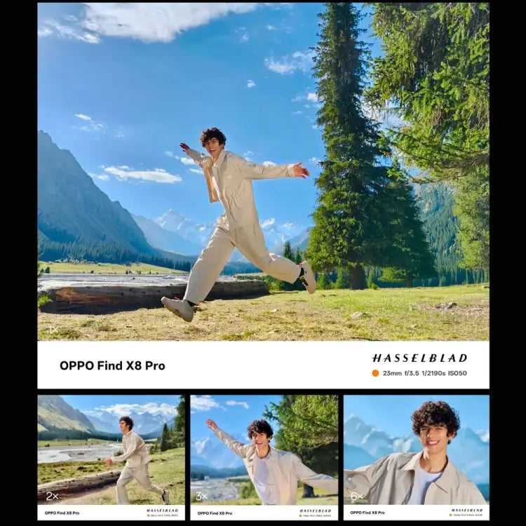 MPH7217_B8.jpg@4333cb286e63de4a3047993a83be53ed