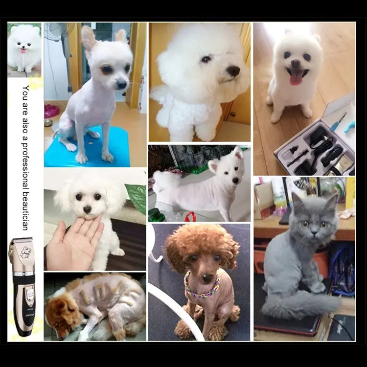 P2 110-240V Ceramics Titanium Professional Pet Electric Scissors Pets Hair Clippers with Four Combs Ceramics Titanium