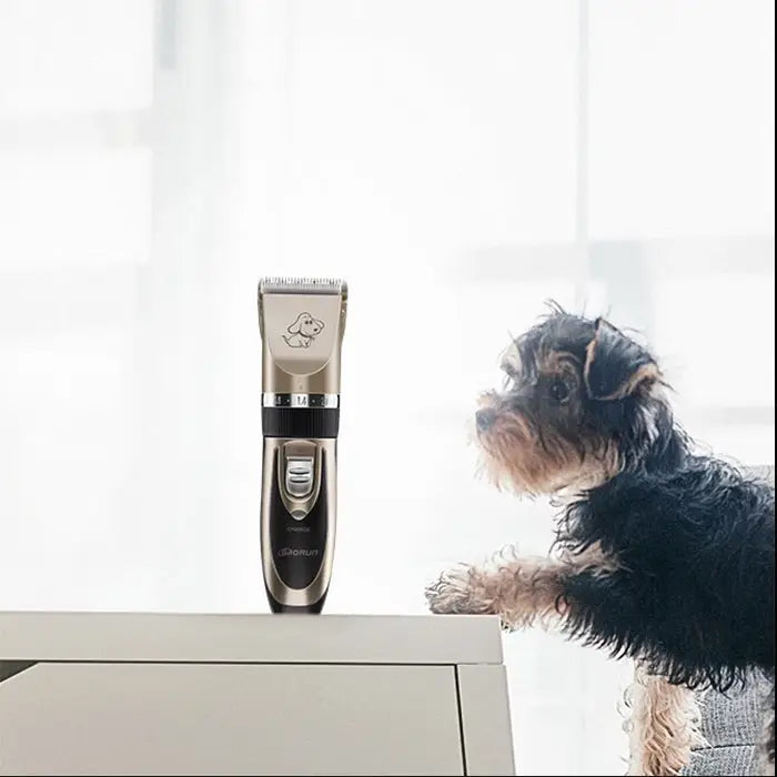 P2 110-240V Ceramics Titanium Professional Pet Electric Scissors Pets Hair Clippers with Four Combs Ceramics Titanium