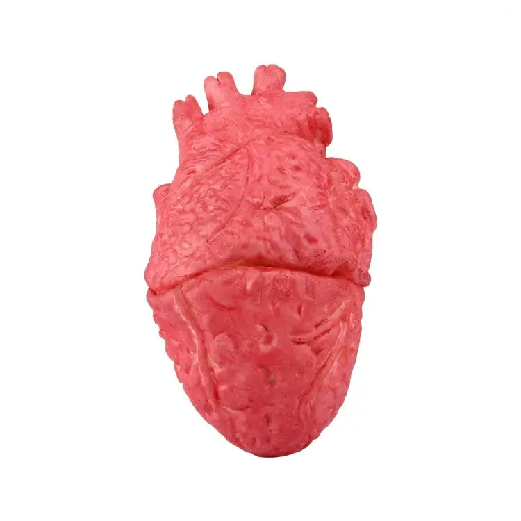 Popular Funny Halloween Props Fake Heart Fake Heart - Fake Heart
