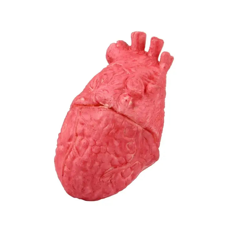 Popular Funny Halloween Props Fake Heart Fake Heart - Fake Heart