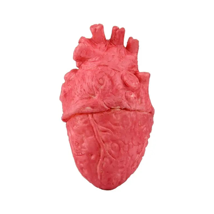 Popular Funny Halloween Props Fake Heart Fake Heart - Fake Heart