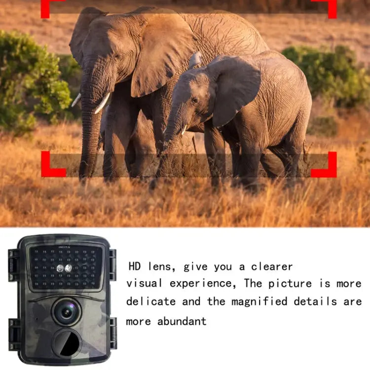 TBD06041032_8.jpg@ea9dd872fc594e5ed52bb52f18400aa6