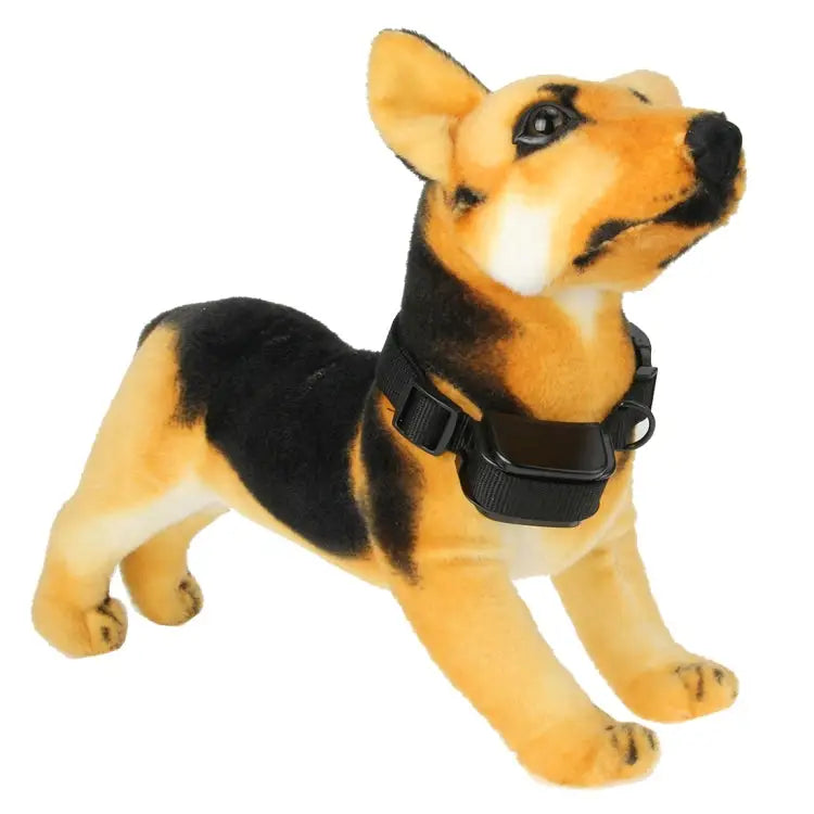 Rechargeable and Waterproof 300m Remote Pet Dog Training Collar with LCD display 300m Remote - 300m Remote