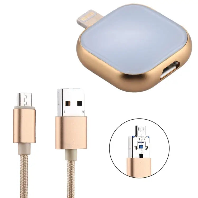 RQW-18S 8 Pin 64GB Multi-functional Flash Disk Drive with USB / Micro USB to Micro USB Cable - RQW-18S Gold