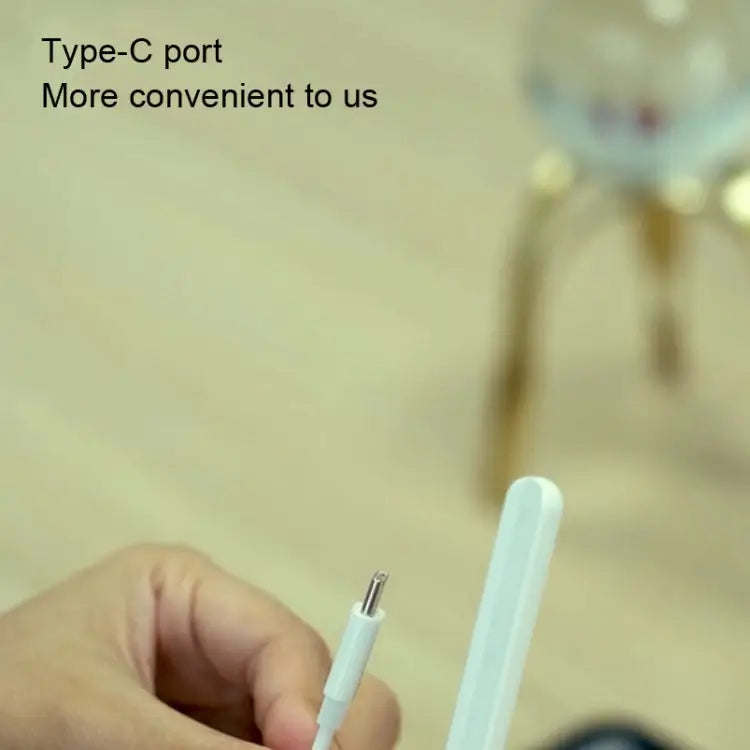 RX-01 Capacitive Pen Magnetic Charging Cable For Apple Pencil 2 - For Apple Pencil 2