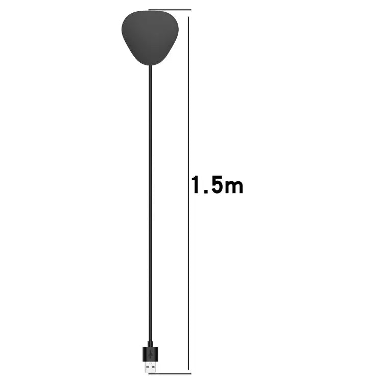 USB Audio Charging Base Wireless Magnetic Charger For Sonos Roam / Roam SL - Apple Accessories