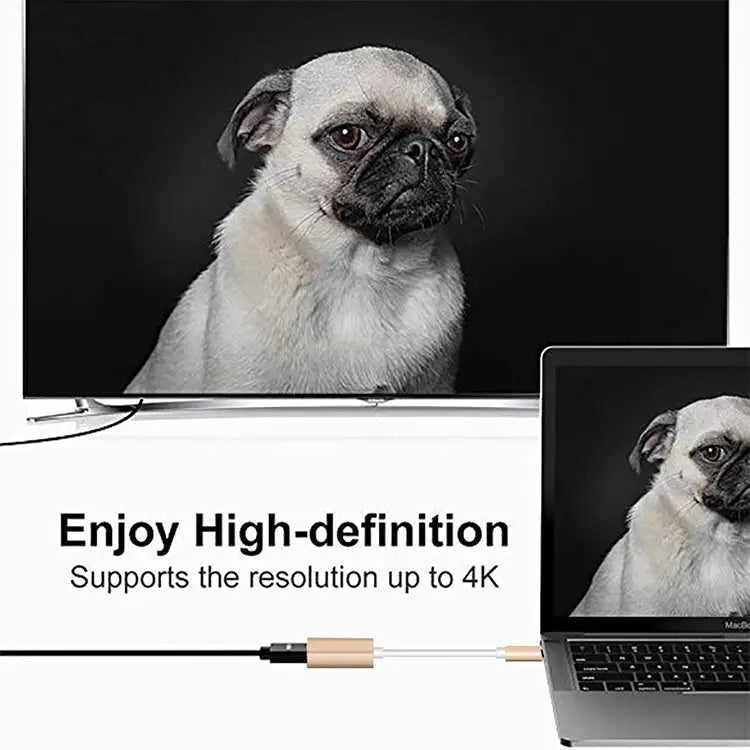 USB-C / Type-C 3.1 Male to Mini DP Female HD Converter Length: 12cm Silver Gold