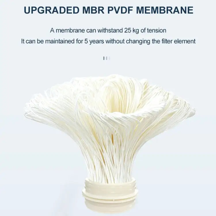 TBD0603582103_B2.jpg@cc80e45ebd4c20f02a65051e15a0884e