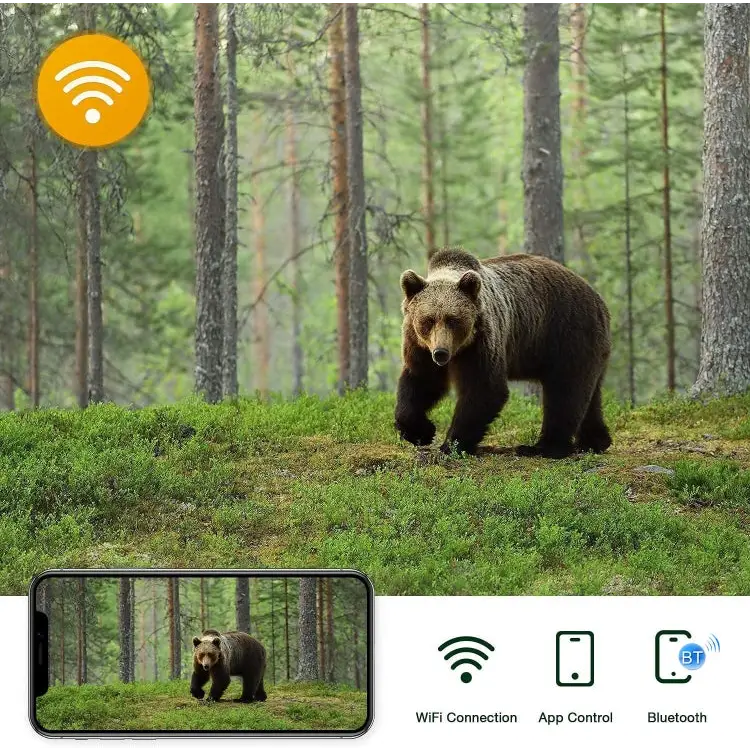 TBD06040850_B5.jpg@2177f74428152e57a8c57f24fc27cc3d