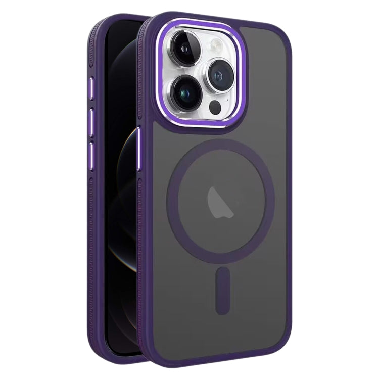 EDA005831611D.jpg@69d54a7bf7f95eebf168e89fc42e55c5